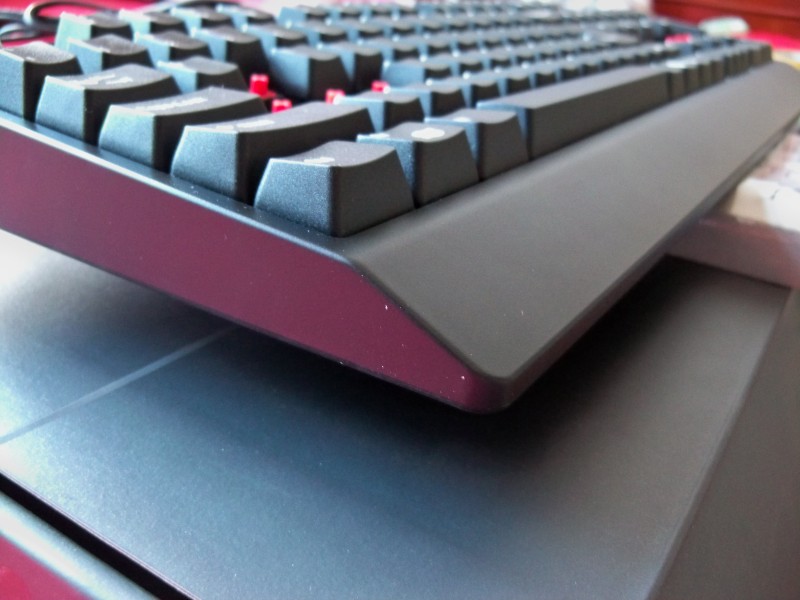 ��ɭ���е�һ��ɧZowie Celeritas ����