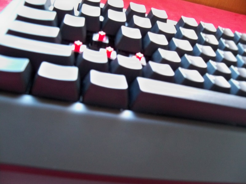 ��ɭ���е�һ��ɧZowie Celeritas ����