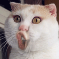 RBз̺Ϣ̫ˣѾ޷͸ȫ塭