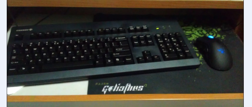 05.jpg
