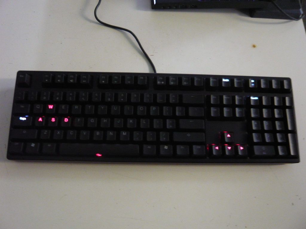 P1180779.JPG