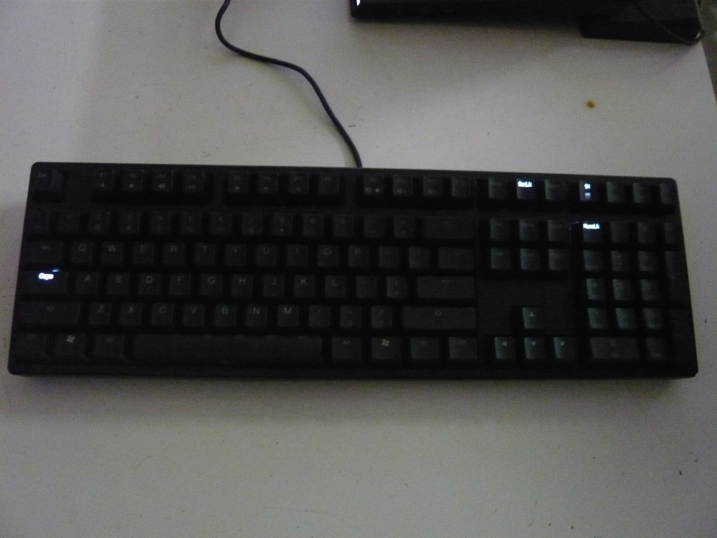 P1180778.JPG