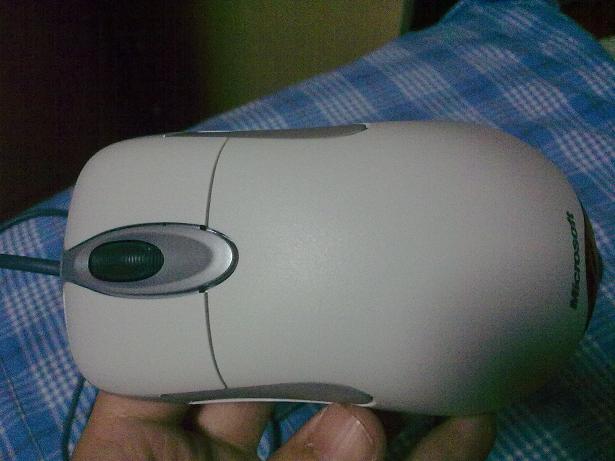 20111020534.jpg
