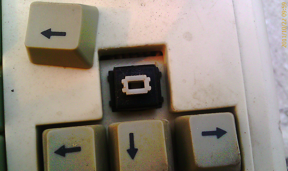 IMAG0063 .jpg