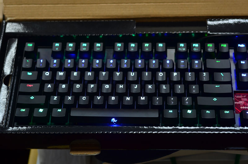 DUCKY shineʽ۰չʾװ