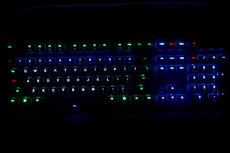DUCKY shineʽ۰չʾװ
