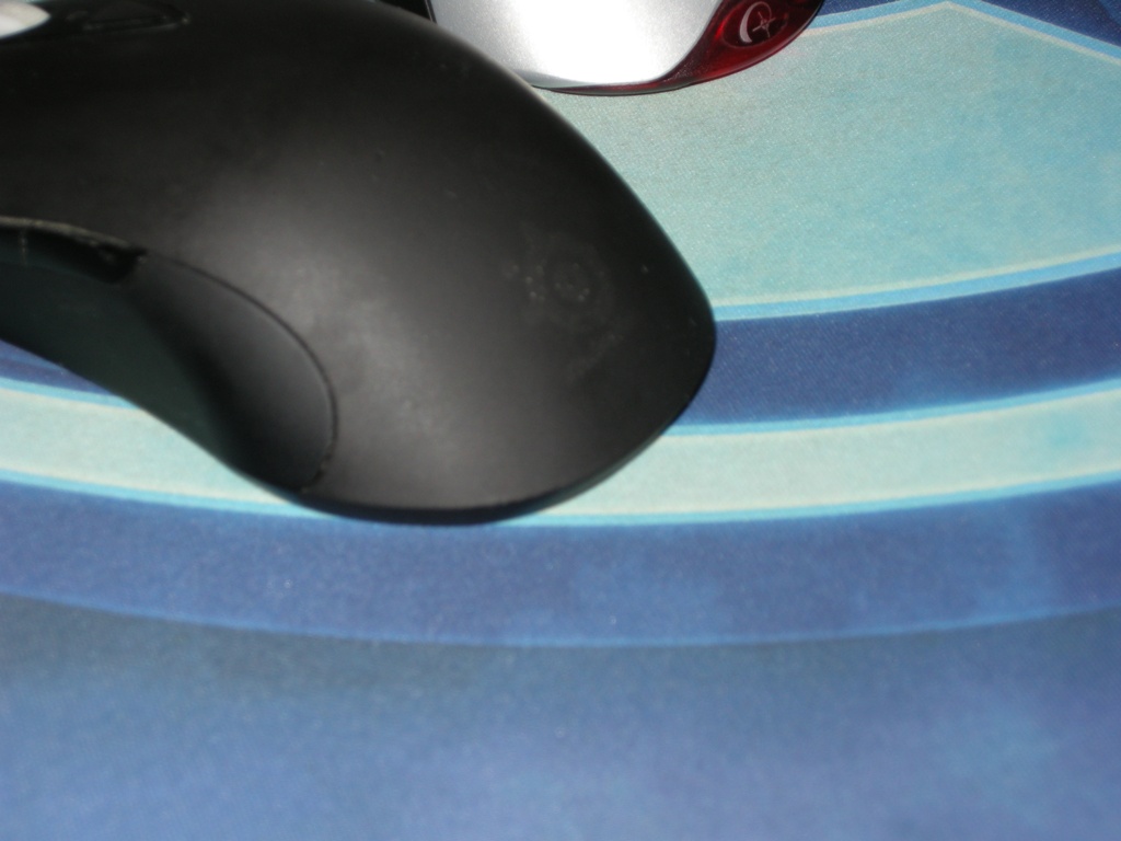 DSCN4640.JPG