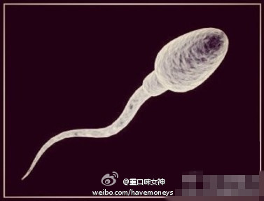 ��һ����Сʱ������գ�ʲô��ͯ��Ӱ�ĳ������ն�������