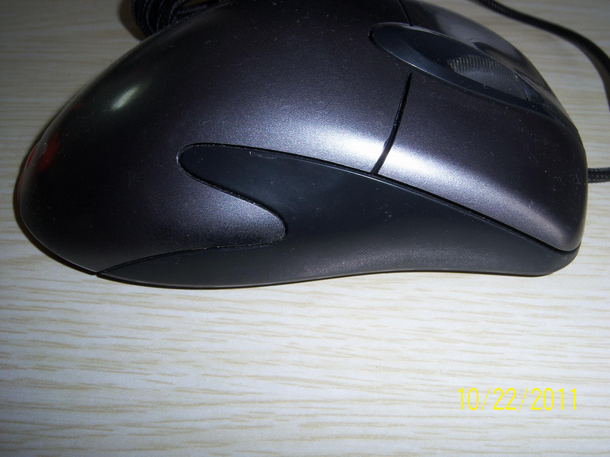 100_4217.JPG