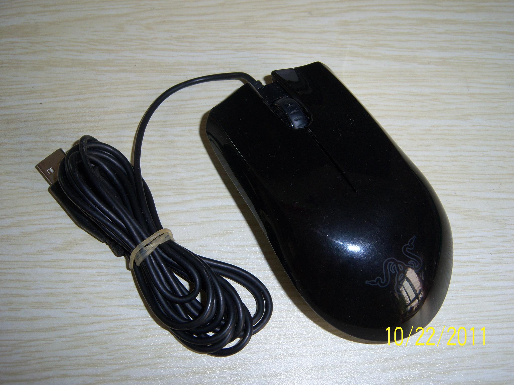 100_4233.JPG