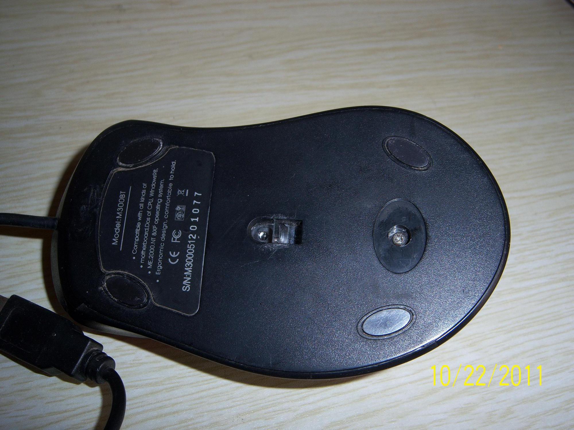 100_4247.JPG