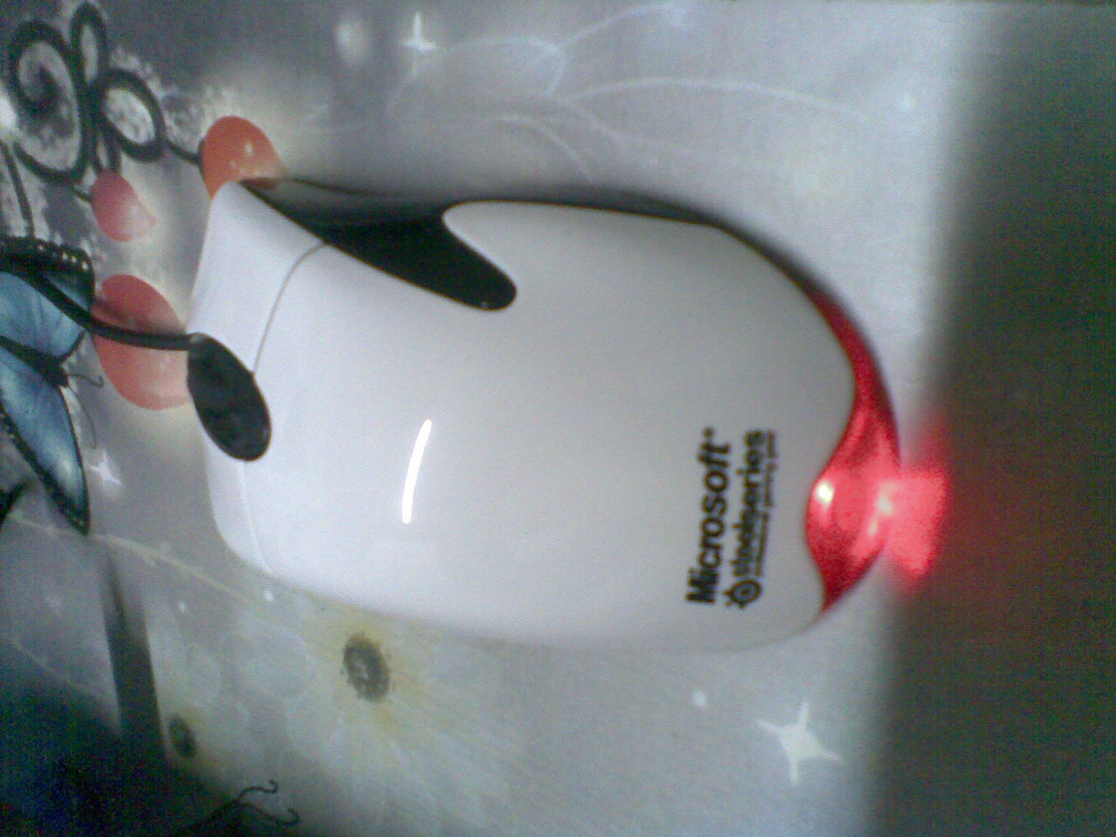 20111023.jpg
