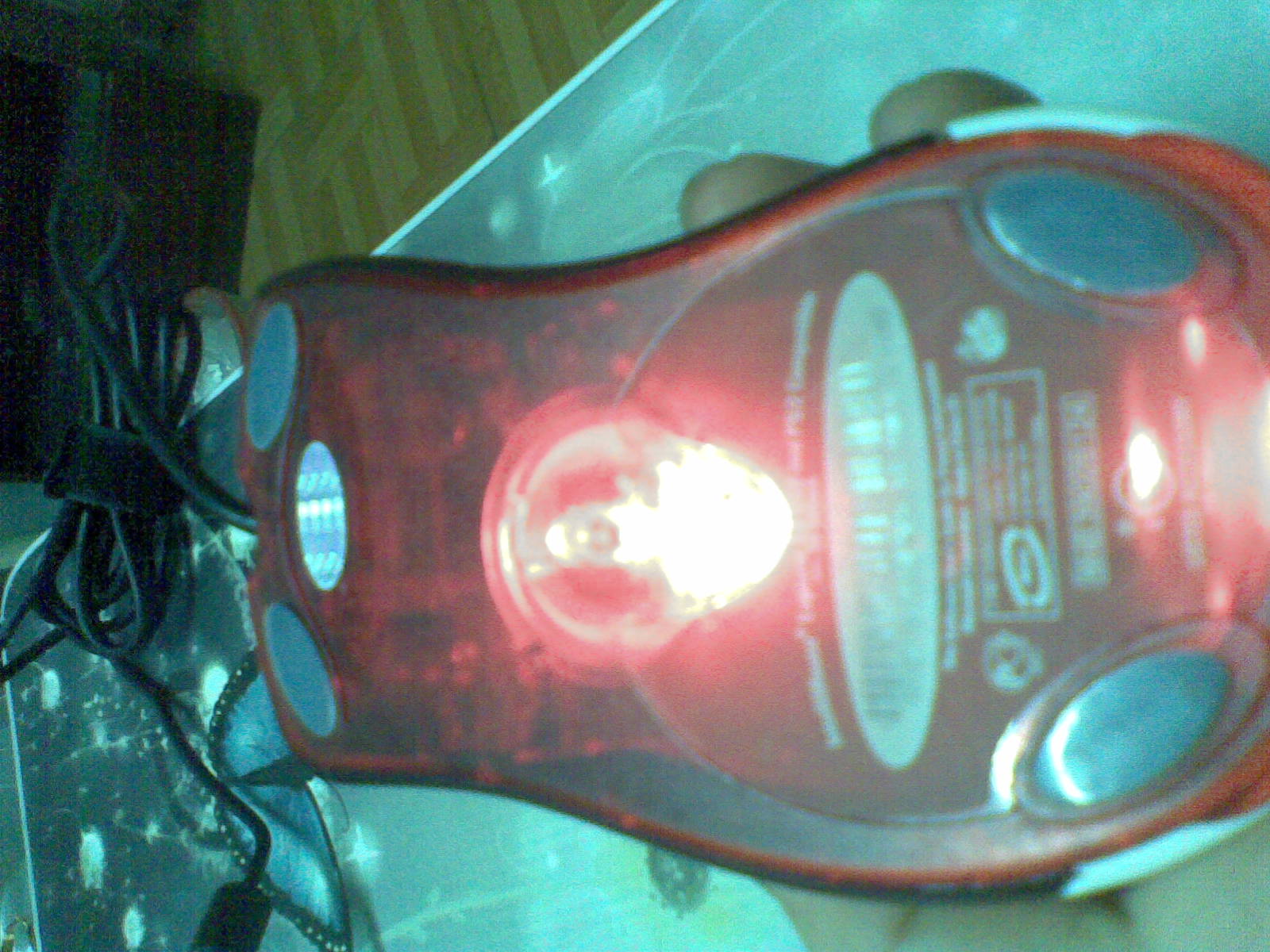 20111023(008).jpg