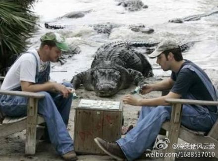 ʲô���������ĵ���