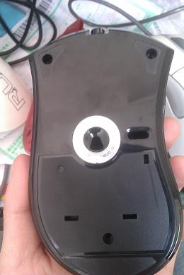 IMAG0255.jpg