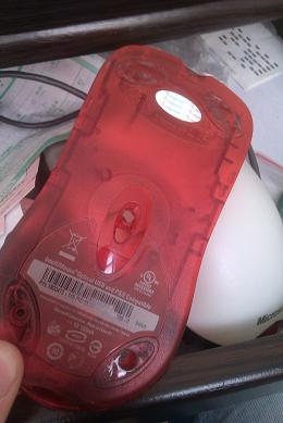 IMAG0253.jpg