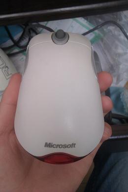 IMAG0252.jpg
