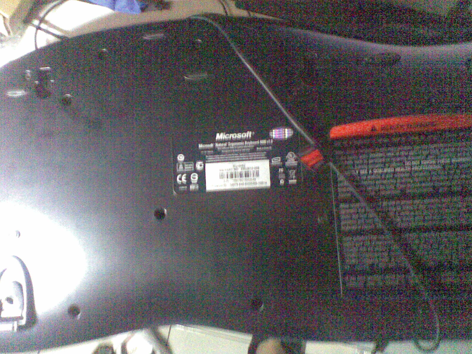 20111024_006.jpg
