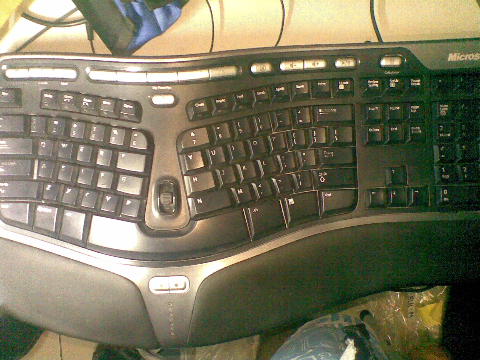 20111024.jpg