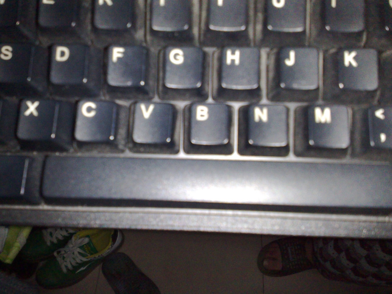 20111029295.jpg