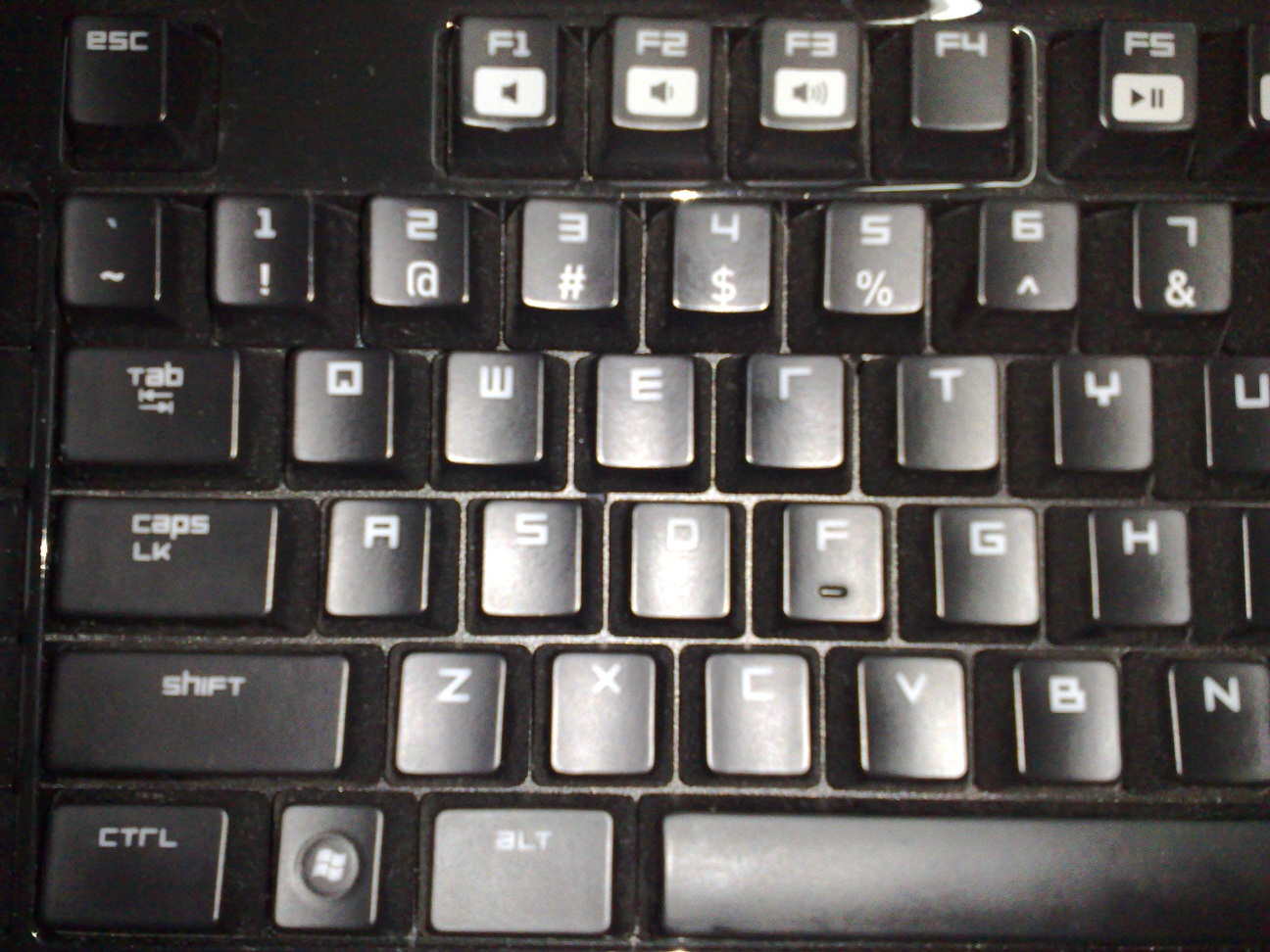 20111029296.jpg
