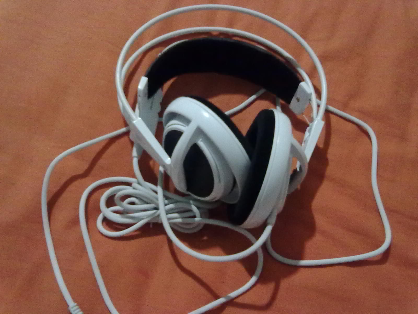 20111031137.jpg