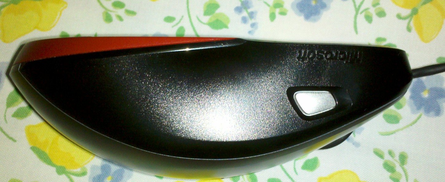 01.jpg
