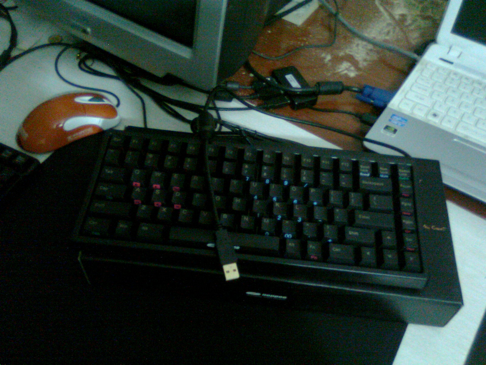 ��Ƭ0521.jpg