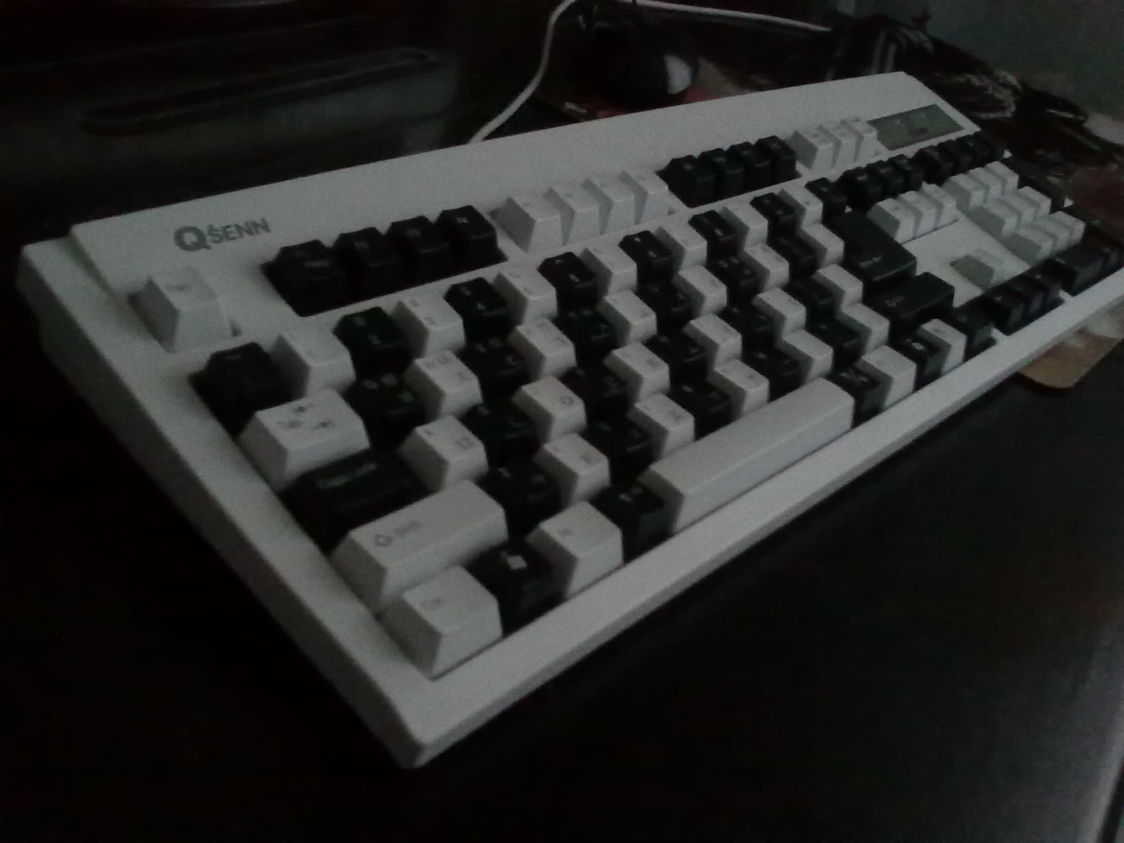20110123008.jpg