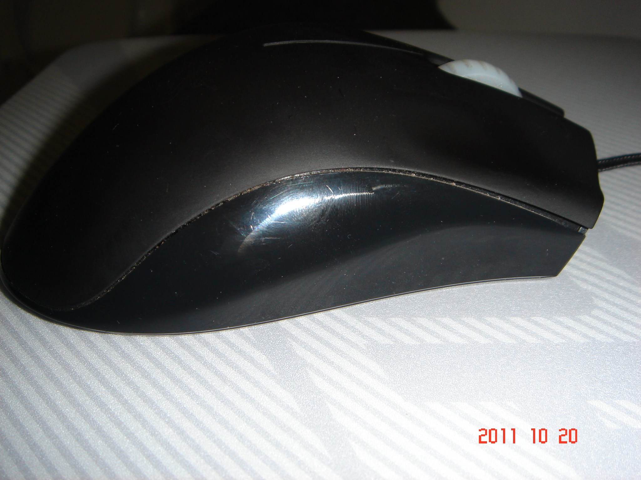 DSC01124.jpg