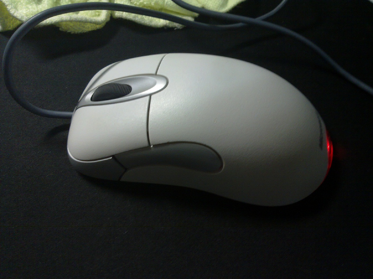 20111105194.jpg