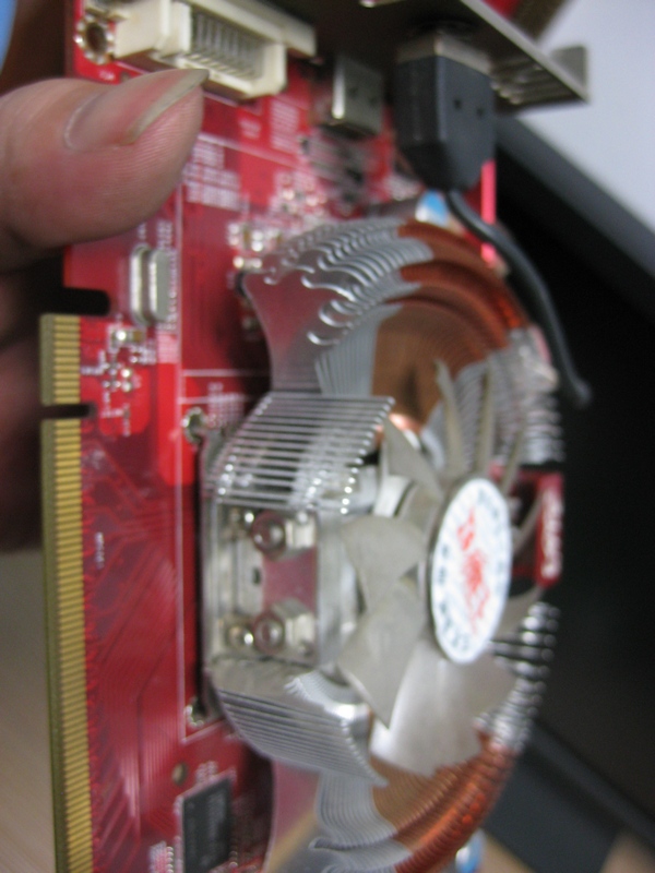 z013.jpg