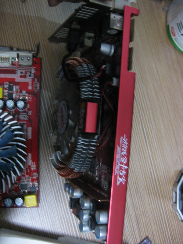 z02.jpg