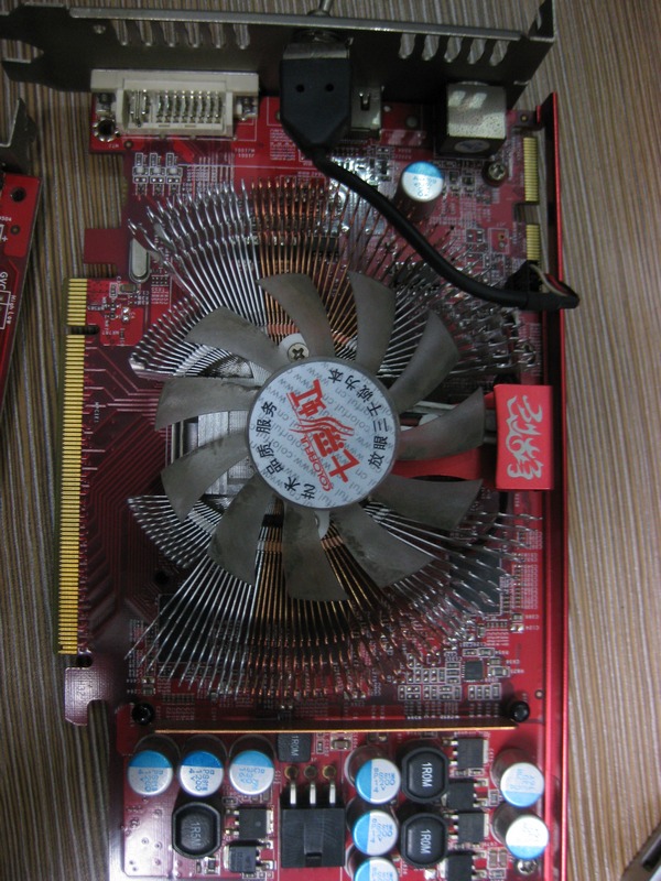 z01.jpg