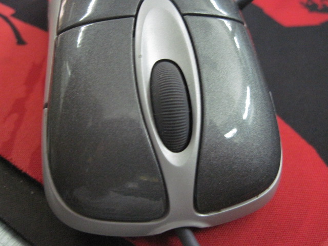111.jpg