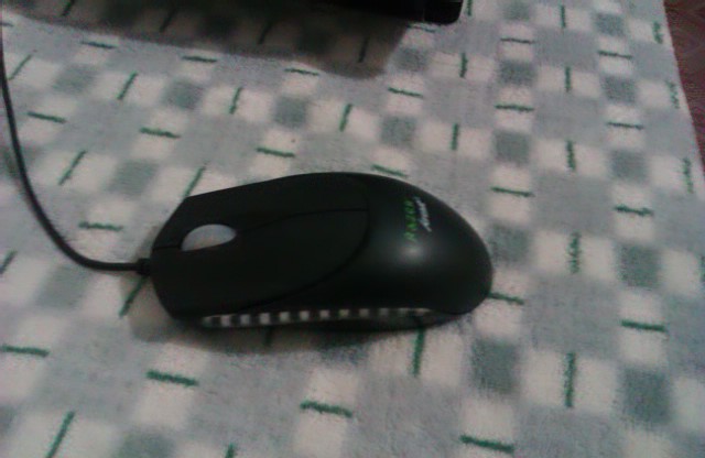 IMAG0032.jpg