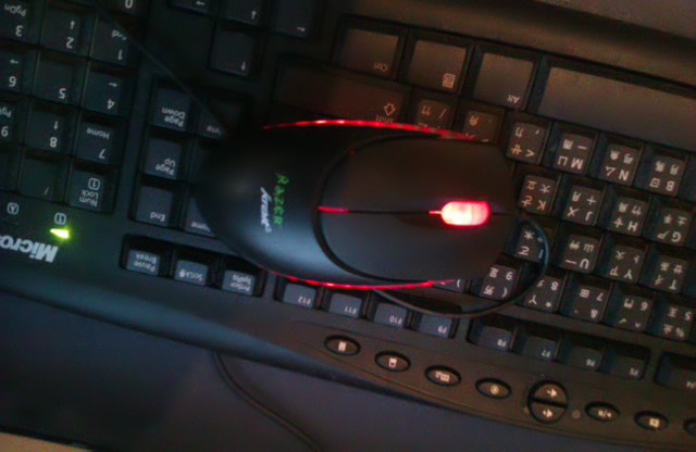 IMAG0037.jpg
