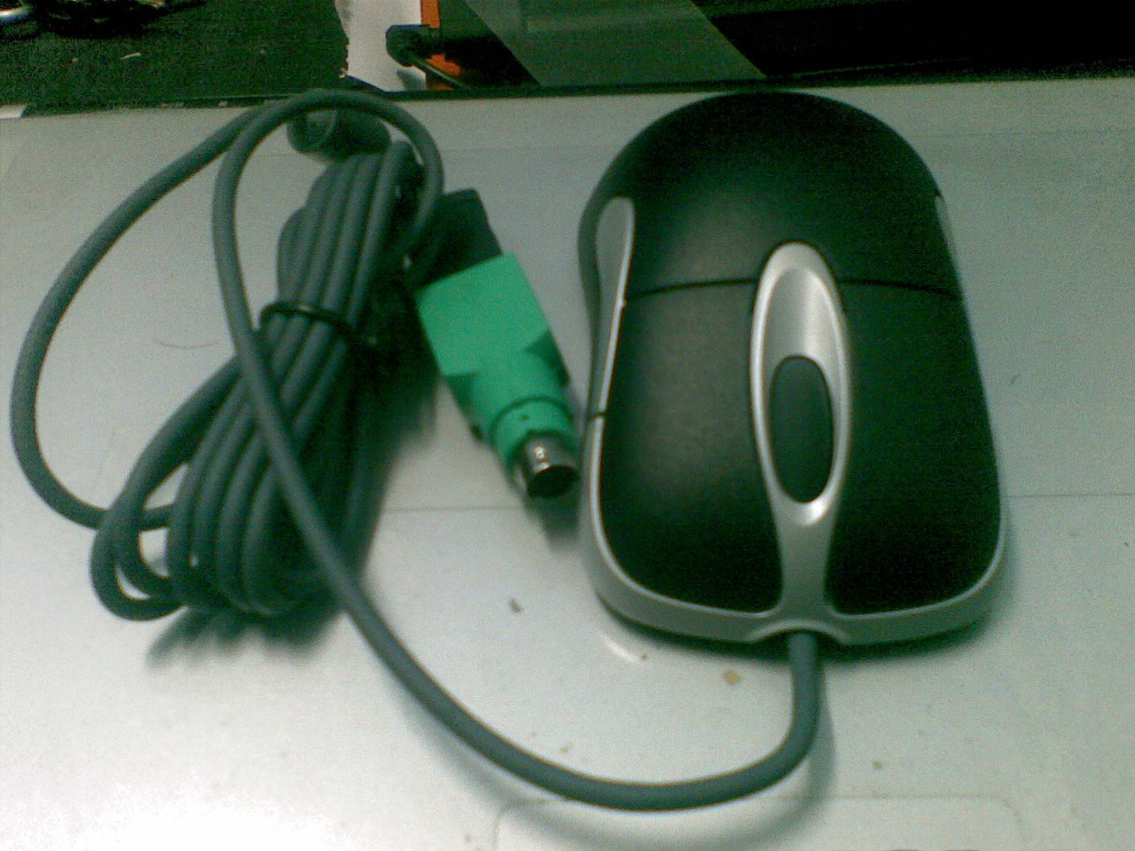 20111108.jpg