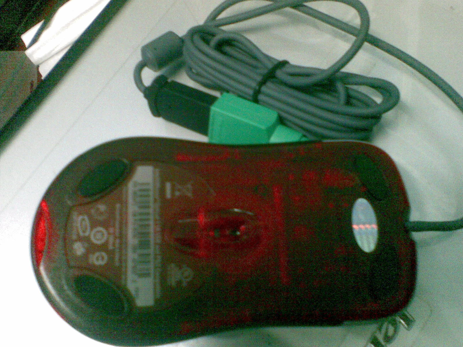 20111108_003.jpg