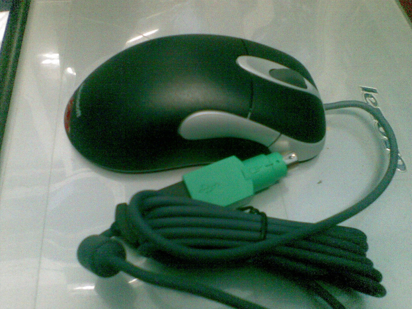 20111108_002.jpg