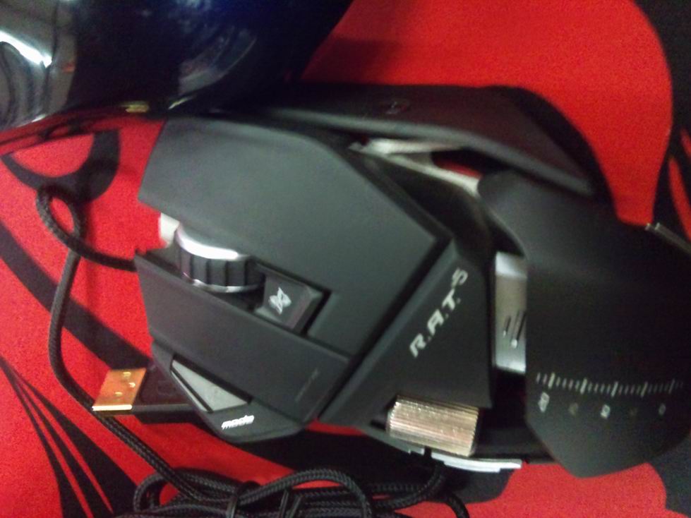 DSC_0174.jpg