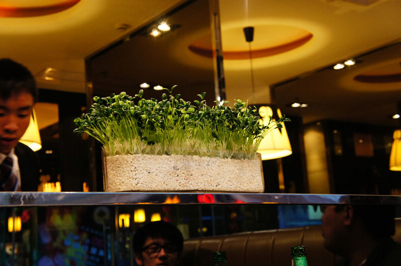nEO_IMG_DSC03482.jpg