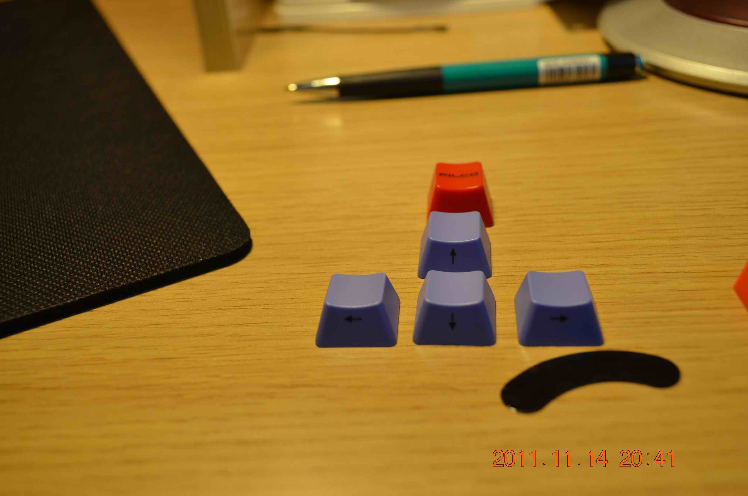 DSC_0555.JPG