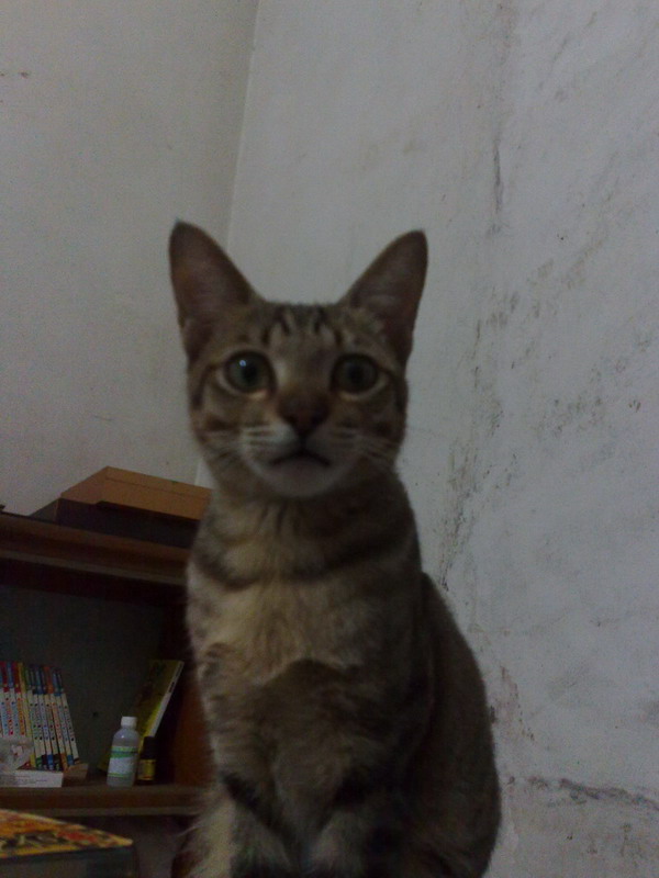 Ǳˮ����,ֻΪѰ��һ�����ռ���,Ȼ������Ѽ�ӱ���...