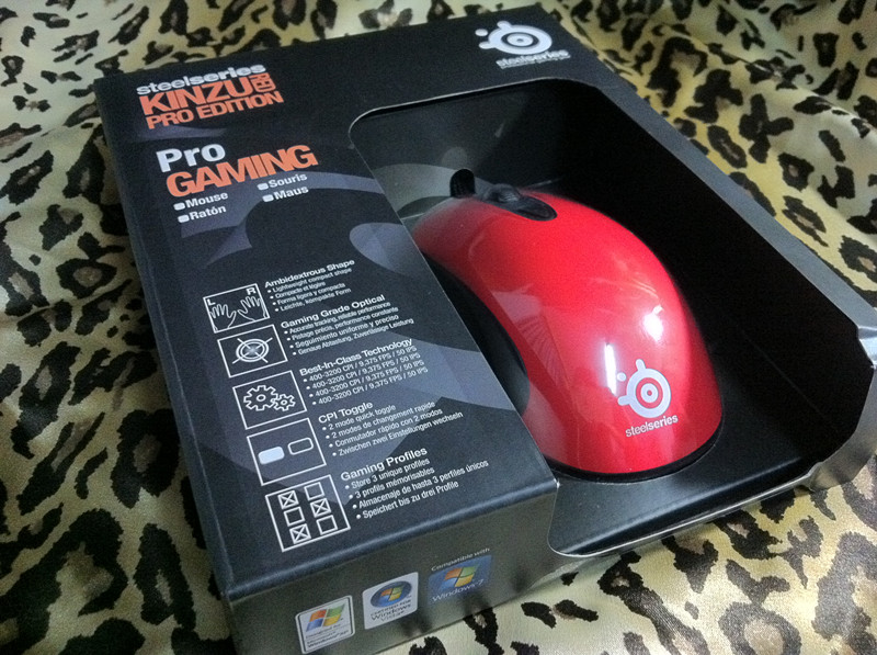 >>>>������ȫ����������� kinzu pro���ͽ�����
