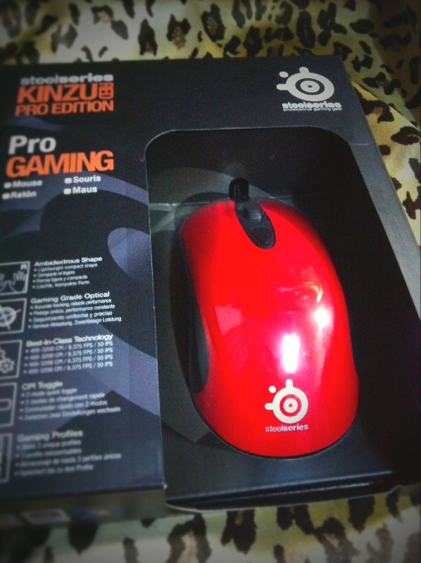 >>>>������ȫ����������� kinzu pro���ͽ�����