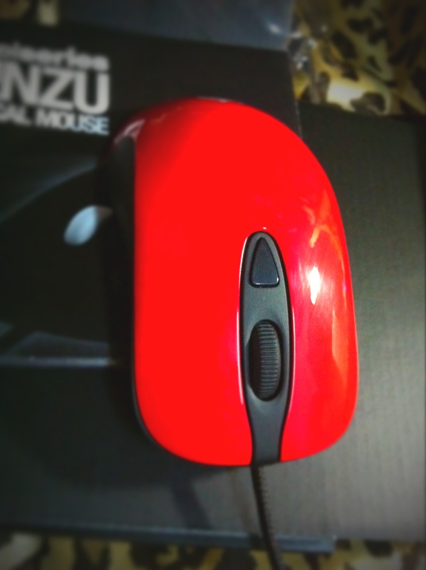 >>>>������ȫ����������� kinzu pro���ͽ�����