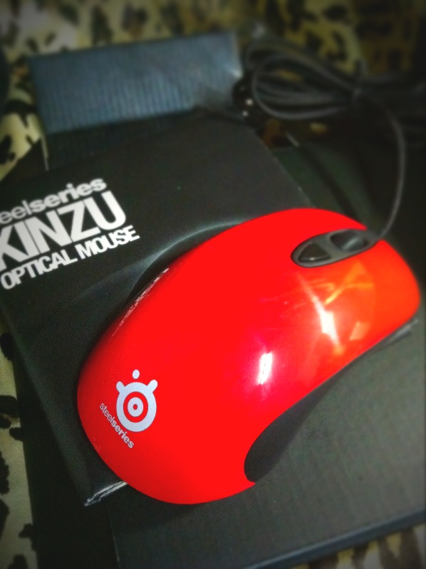 >>>>������ȫ����������� kinzu pro���ͽ�����