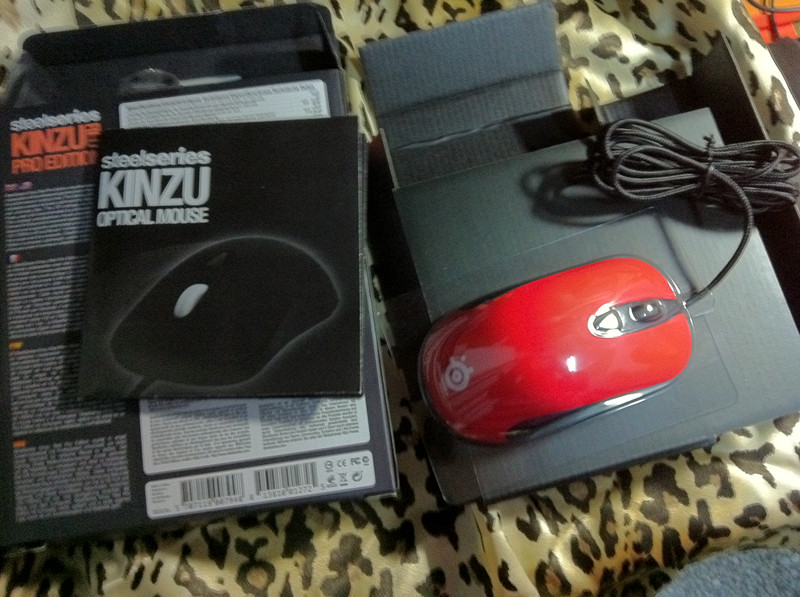 >>>>������ȫ����������� kinzu pro���ͽ�����