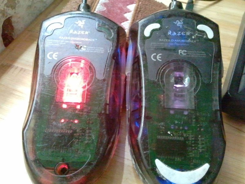 2011-11-18 11.15.01.jpg